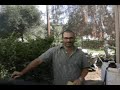 Video Testimonial by Mr. S.
