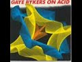 Gaye Bykers On Acid - Animal Farm
