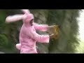 Carottes rap�es