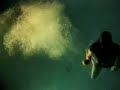 Windy Night Poppet Diving
