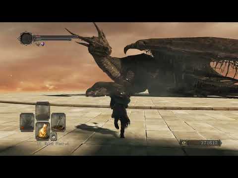 SL1 Ancient Dragon, Dark Souls 2: SotFS