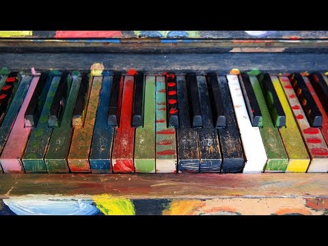 動画