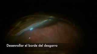 Carlos Eduardo Estrada Reyes-12