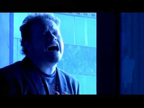Ver Video