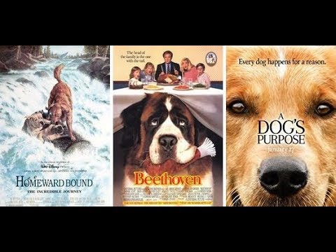Top 25 Movies For Dog Lovers