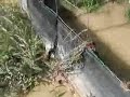 Poor Site Silt Controls, Pond Failures Poor Site Silt Controls, Pond Failures