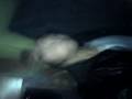 MOV00038
