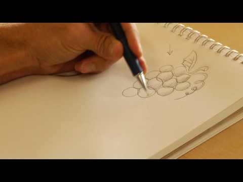 Drawing From Nature : How to Draw Fruit