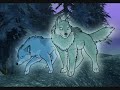 Wolfs are Wonderfull