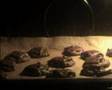 Kekse backen