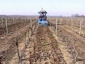VIGNE+INTERCEP