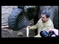 Inventur im Zoo Duisburg - das große Zählen hat ein Ende. Wie alle Jahre wieder so ist auch dieses Mal kurz vor dem Jahreswechsel vom WQissenschaftlichen Leiter des Zoos, Dr Jochen Reiter, den Revierpflegern der Auftrag erteilt worden, die Tier-Inventur durchzuführen. Da wurde eifrig gezählt, vermessen und gewogen, wurde Bestandsbücher gewälzt und Daten abgeglichen. Peinlich genau wird jedes Indivodium mitsamt seiner besonderen Kennzeichen festgehalten. Es leben im Zoo Duisburg derzeit 2.621 Tier-Individuen in 295 Arten. Kamera/Schnitt: Wilfried Krüssmann, Redaktion: Birgit Lameyer,