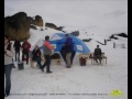 Patagonia- Santa Cruz- El Calafate