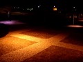Pombeando na praça dos pombos