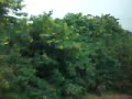 CRH1 train ( D810 )  at 170km/h