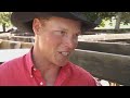 Pacific Beat St - Rodeo & Steam Train