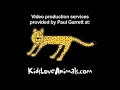 Help Us Save the Wild Cheetah