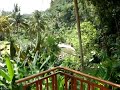 En la Jungla de Bali