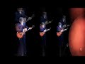 the-black-hollies-paisley-pattern-ground.html