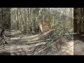 birthdaycaldoride - 