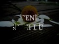 Yaşar & Yıldız Usmanova - Seni Severdim