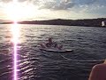 videos Surf