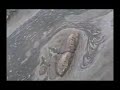 desastres naturales   llamada de advertencia