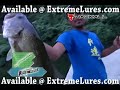 Jackall Flick Shake Wacky Worms Bass Fishing Demo Video Jackall Flick Shake Wacky Worms Bass Fishing Demo Video