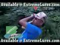 Jackall Flick Shake Wacky Worms Bass Fishing Demo Video