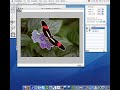 HumanEyes PrintPro