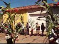 La prosecion de la Milpa en las fiestas de octubre etzatlan