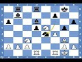 Chess Tactics #5