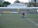 vitol rugby