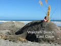 See Video