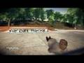 videos de ea skate - Flat Curb Montage