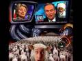 Omniscient- Now & Not Later (Don't Need to pay Taxes?)