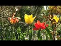 im Garten