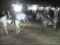 Rancho La Caridad Se Presenta En Una Quincea�era