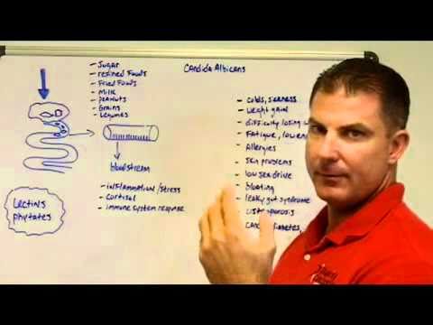 how to eliminate grains from diet