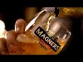 Sharon Shannon & Steve Earle Original Galway Girl Magners Sharon Shannon & Steve Earle Original Galway Girl Magners