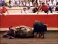 LA TAUROMAQUIA