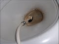 Bändin nimi on Kiitos Kiitos Kauppa. Tässä heidän uusi singlensä, Pillupuhelin. Kappale on tribuutti J. Karjalaiselle.