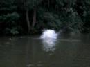 baignade