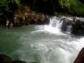 Tarzan Swing
