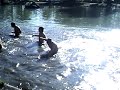 Praxe ISCTE - LEI - O Baptismo Praxe ISCTE - LEI - O Baptismo