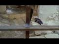 videos de Bloody Moon Circular Saw Sequence Uncut