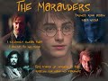 Just a little something I whipped up whil being Siriusly bored. I was flipping through the pictures on my computer when I found my file of Harry Potter pics. I searched for some new ones and created this vid. It's mainly about the Marauders-James, Remus, and Sirius- and a little bit of Lily. Harry appears in there, kind of in a remembering them way, and there are a few pictures with Harry as a baby, being held lovingly by his family.I realized after I had published it that a pic with Snape, L. Malfoy, and a few other Death Eaters made it in there. Sorry!One last thing! There is a picture of Sirius, James, and Harry in there that kind of needs to be explained. The basic reason why it's in there is because I saw three different relationships in there.Harry/Sirius: fatherson/unclenephewJames/Harry: fathersonSirius/James: brotherbrotherIt is not in there for pairing purposes. I will have a few pairing videops up later on, but this is not a pairing vid. It's just a memorial.