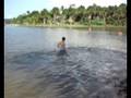 Akbor Nadando no Rio