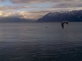 Zicht op het meer van Genève vanop de kaai in Ouchy (Lausanne)