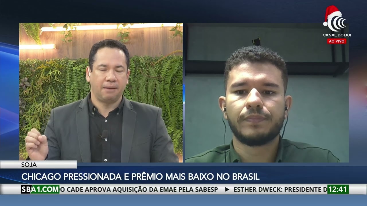 Mercado do milho com preços estáveis e soja segue pressionada em Chicago e com prêmio mais baixos